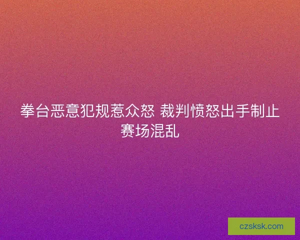 拳台恶意犯规惹众怒 裁判愤怒出手制止赛场混乱